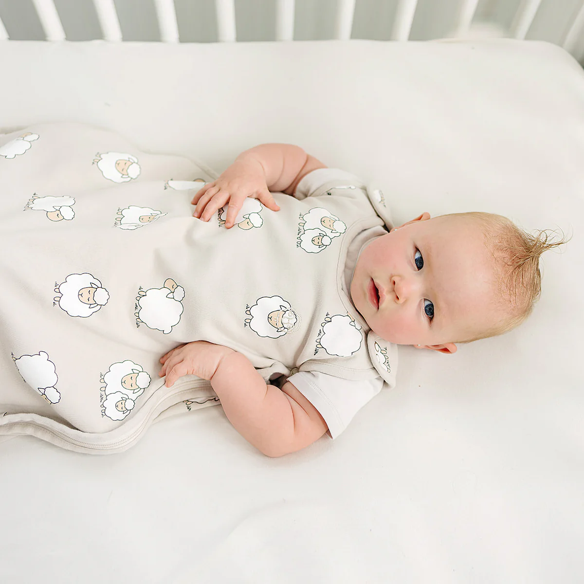 4 Season® Ultimate Baby Sleep Bag, Merino Wool & Organic Cotton, Sheep - Image 3