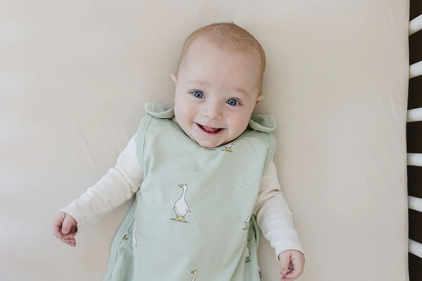 Ecolino® Adjustable Baby Sleep Bag, Organic Cotton, Universal Size: 2 Months - 2 Years, Goose - Image 11