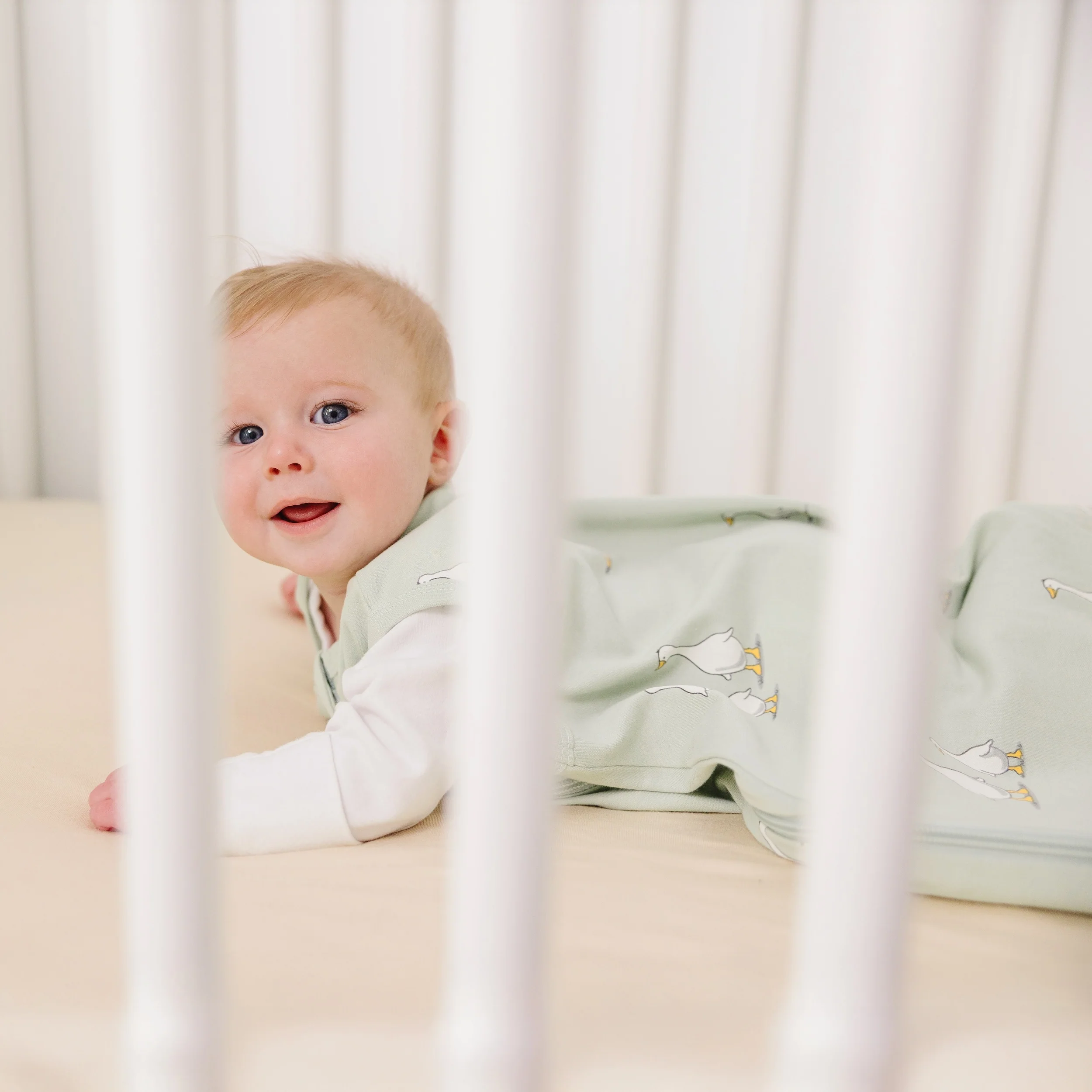 Ecolino® Organic Cotton Classic Baby Sleep Bag or Sack, Goose - Image 4