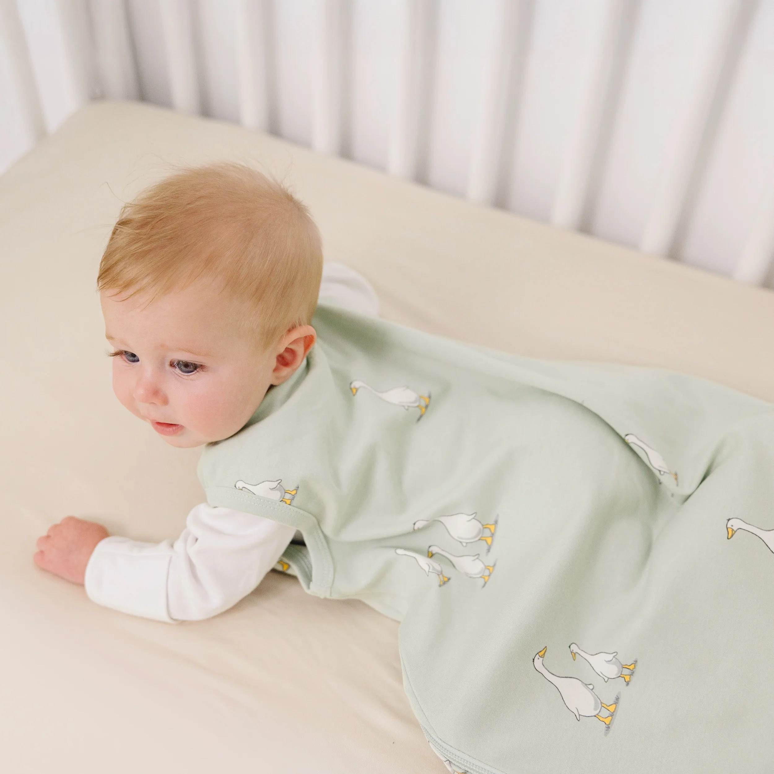Ecolino® Organic Cotton Classic Baby Sleep Bag or Sack, Goose - Image 6