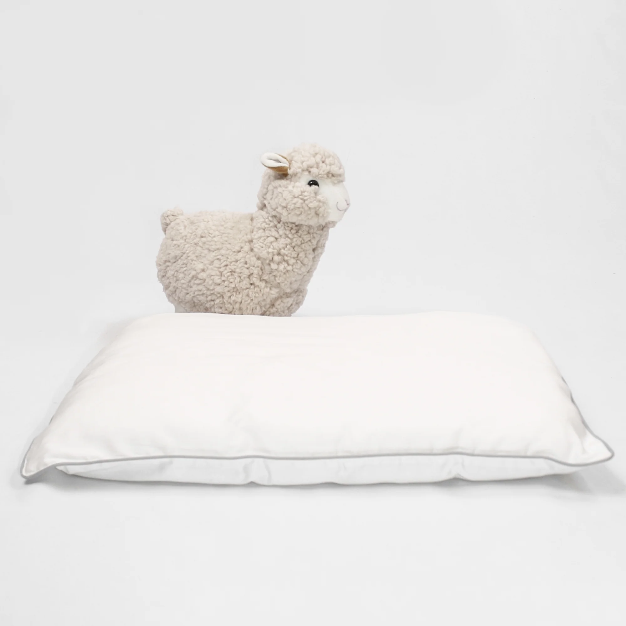 Wool Pillow, Toddler and Kids, Size: 14"x19" - Image 6